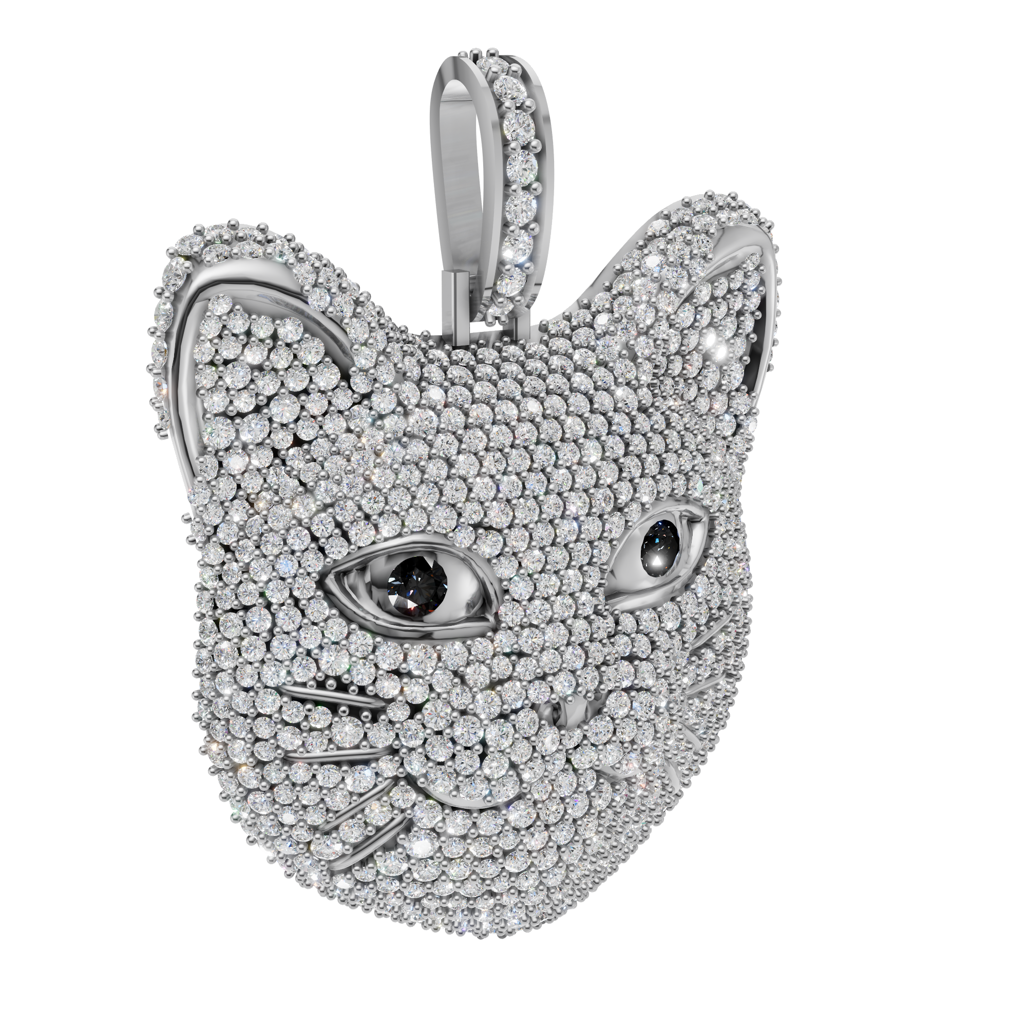 Glam Cat